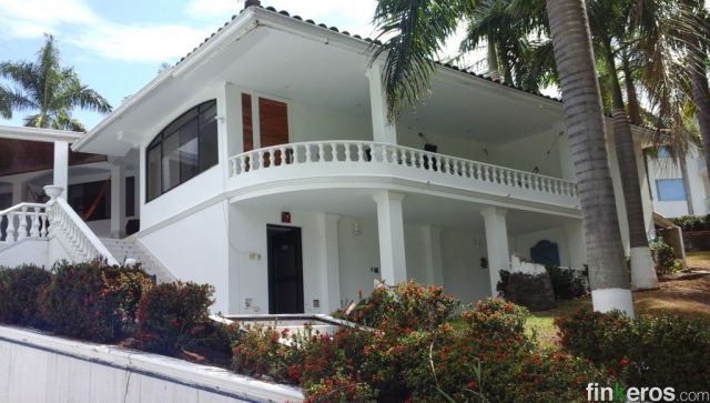 Fincas à Melgar : ce qu'on y trouve, à quel prix et à quelle période y aller